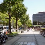 Yamashita park avenue