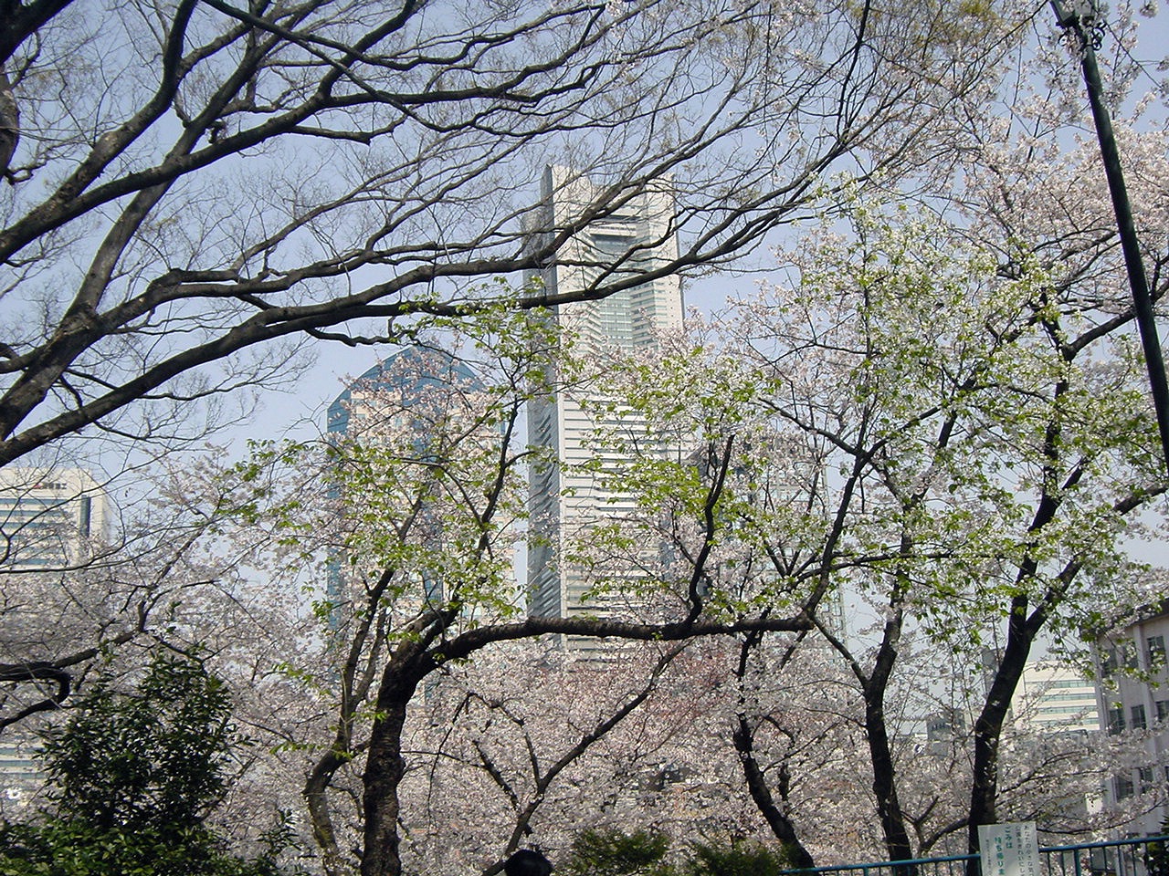 Landmark tower viewed from Kamonyama park