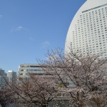 桜とヨコハマインターコンチネンタルホテル