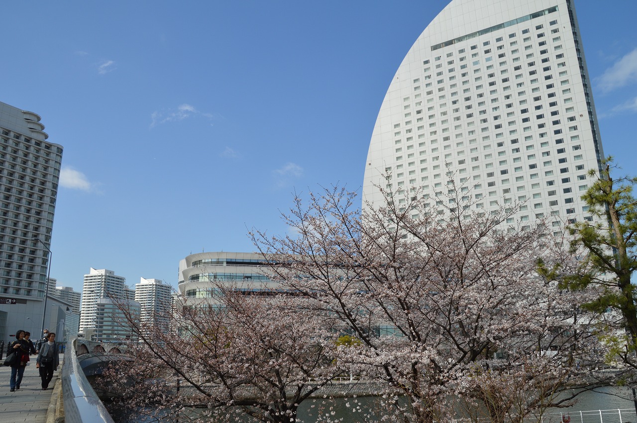桜とヨコハマインターコンチネンタルホテル