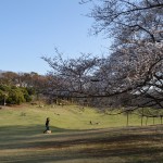 Negishi shinrin park