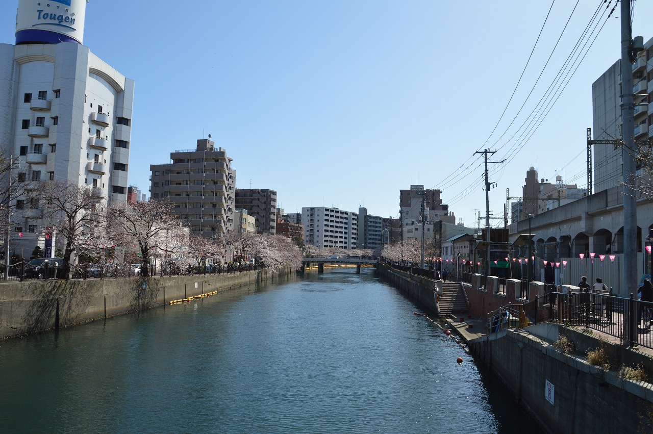 Oookagawa river