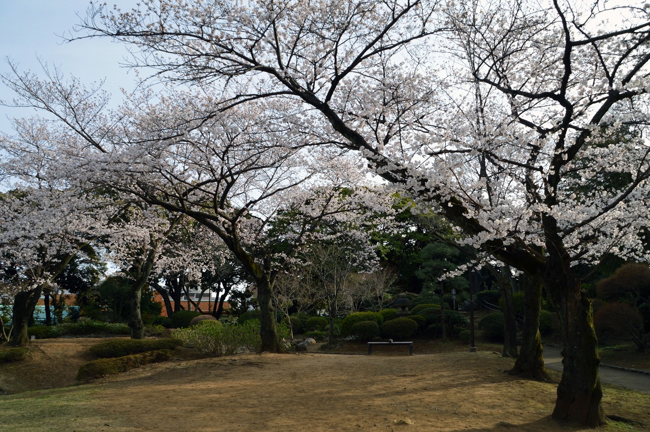 Nogeyama park
