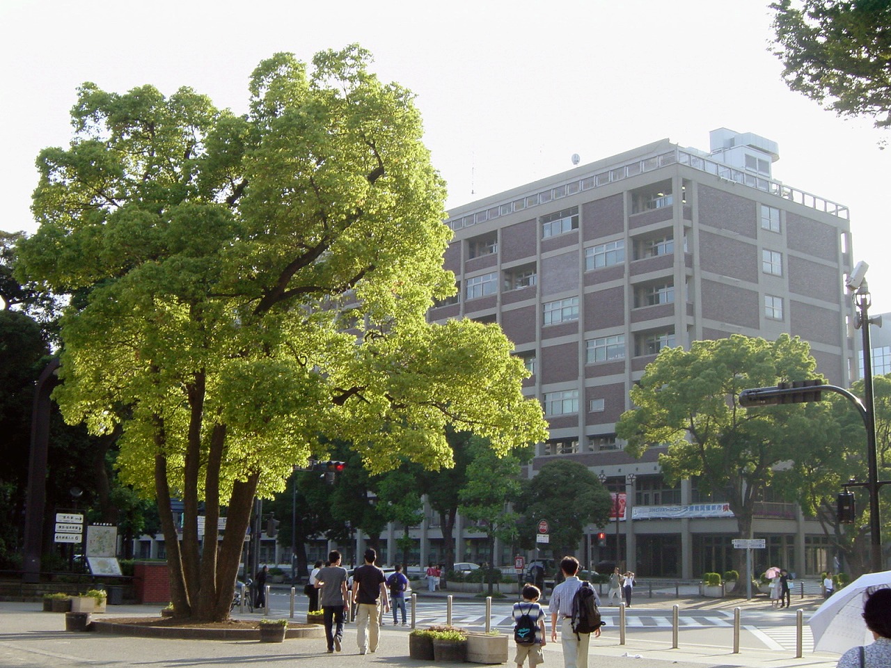 横浜公園と横浜市庁舎